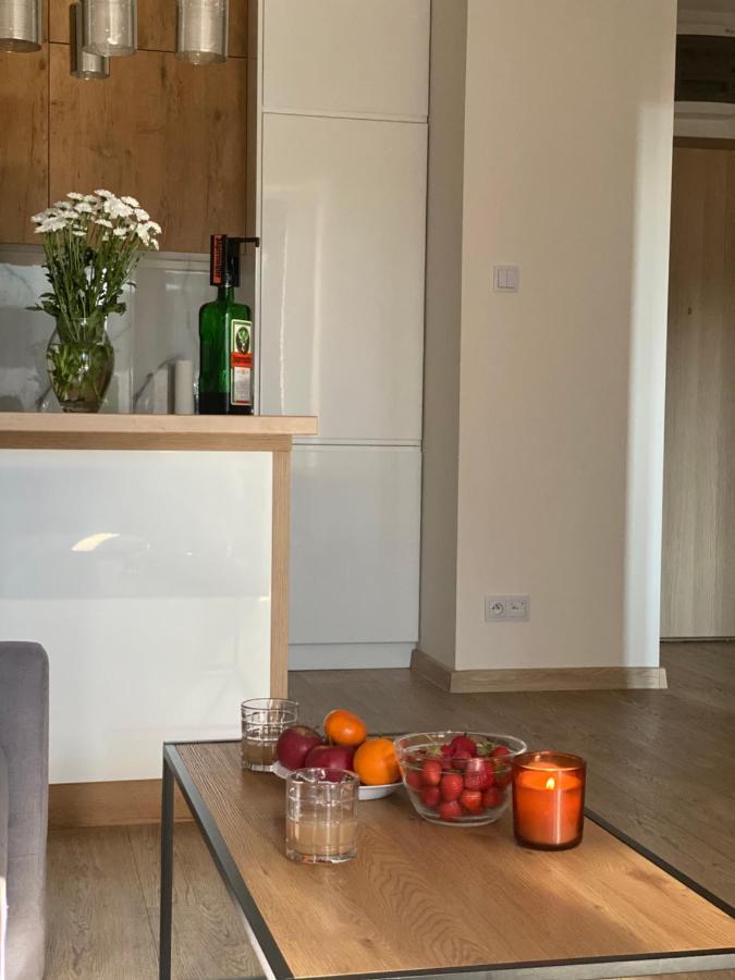 Modern Apartments & Free Parking Gorzow Wielkopolski Exterior photo